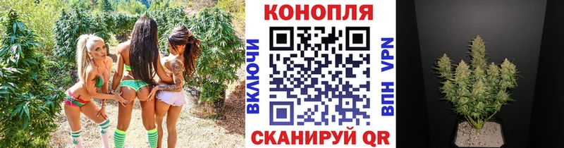 Наркота Льгов Псилоцибиновые грибы Амфетамин ГАШ MDMA COCAIN Бошки Шишки Меф